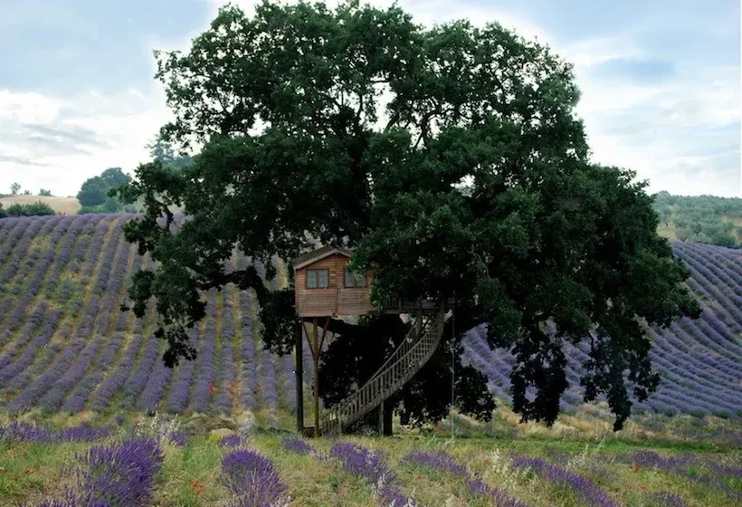 La piantata treehouse hotel